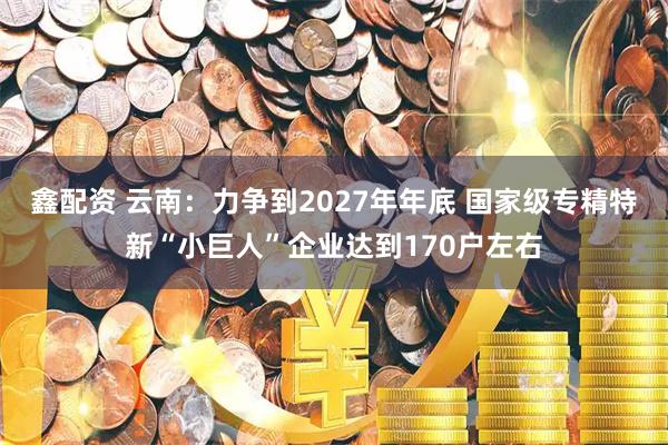 鑫配资 云南：力争到2027年年底 国家级专精特新“小巨人”企业达到170户左右