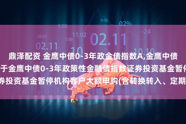 鼎泽配资 金鹰中债0-3年政金债指数A,金鹰中债0-3年政金债指数C: 关于金鹰中债0-3年政策性金融债指数证券投资基金暂停机构客户大额申购(含转换转入、定期定额投资)的公告