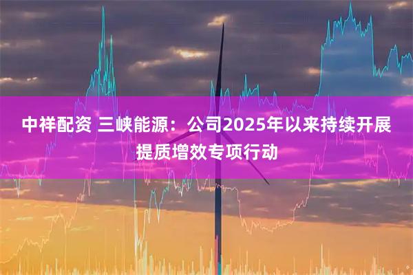 中祥配资 三峡能源：公司2025年以来持续开展提质增效专项行动