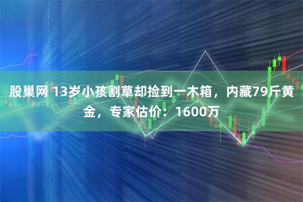 股巢网 13岁小孩割草却捡到一木箱，内藏79斤黄金，专家估价：1600万